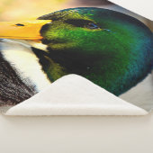 COUVERTURE SHERPA MALLARD DUCK (3/4)