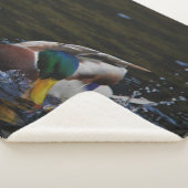 COUVERTURE SHERPA MALLARD DUCK (3/4)