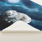 Couverture Sherpa Maman et bébé Ours polaire à la nuit (3/4)