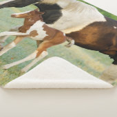 Couverture Sherpa Maman & Nouveau-né Paint Filly (3/4)
