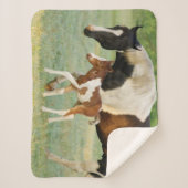 Couverture Sherpa Maman & Nouveau-né Paint Filly (Devant)