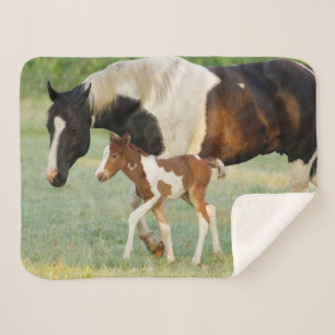Couverture Sherpa Maman & Nouveau-né Paint Filly