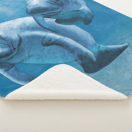 Couverture Sherpa Manatees (3/4)