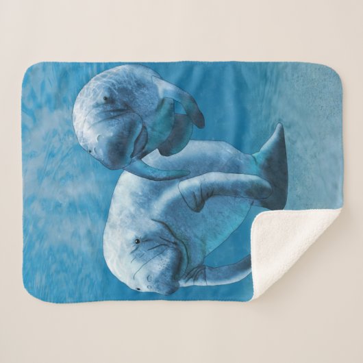 Couverture Sherpa Manatees (Devant (Horizontal))