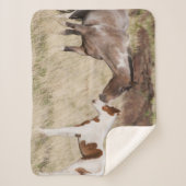 Couverture Sherpa Mare avec Colt (Devant)