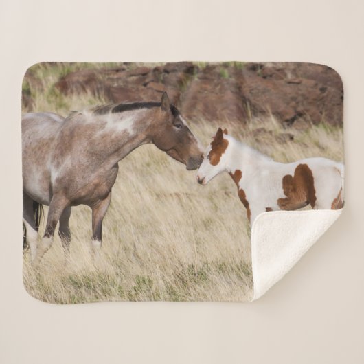 Couverture Sherpa Mare avec Colt (Devant (Horizontal))