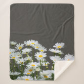 Couverture Sherpa Marguerites sur Grey  (Devant)