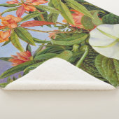 Couverture Sherpa Marianne North - Javan Rhododendrum (3/4)