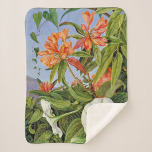 Couverture Sherpa Marianne North - Javan Rhododendrum