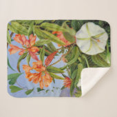 Couverture Sherpa Marianne North - Javan Rhododendrum (Devant (Horizontal))