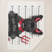 COUVERTURE SHERPA MAUVAIS CHIEN (Devant)