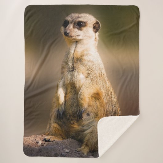 COUVERTURE SHERPA MEERKAT (Devant)