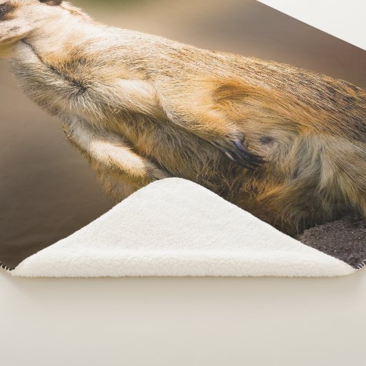 COUVERTURE SHERPA MEERKAT (3/4)