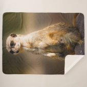 COUVERTURE SHERPA MEERKAT (Devant (Horizontal))