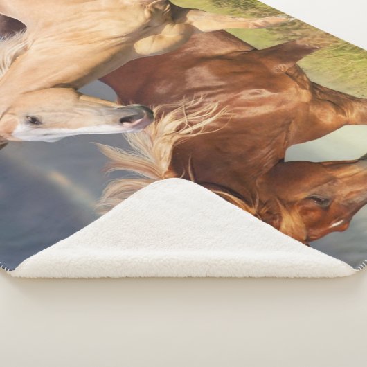 Couverture Sherpa Meilleurs amis (3/4)