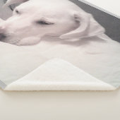 Couverture Sherpa Mélange blanc labrador blanc mix gris chien (3/4)