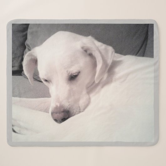 Couverture Sherpa Mélange blanc labrador blanc mix gris chien (Devant (Horizontal))