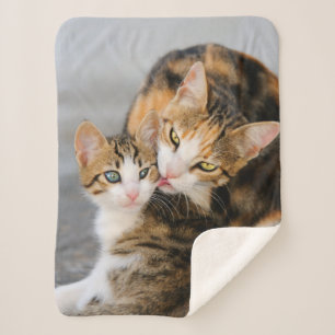 Couverture Sherpa Mère Chat aime mignonne Bébé Kitten Animal Photo s