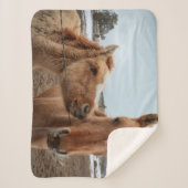Couverture Sherpa Mère Cheval et poulain (Devant)