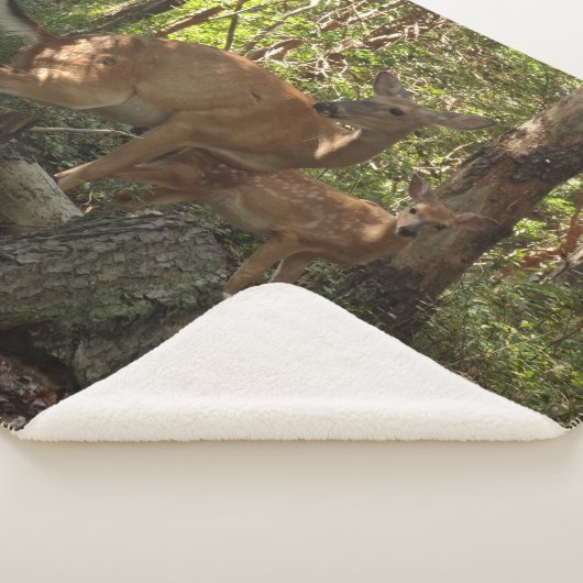 Couverture Sherpa Mère et bébé cerf au Parc national de Shenandoah (3/4)