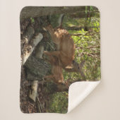 Couverture Sherpa Mère et bébé cerf au Parc national de Shenandoah (Devant)