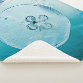 COUVERTURE SHERPA METROID EST QUE VOUS (3/4)