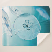 COUVERTURE SHERPA METROID EST QUE VOUS (Devant (Horizontal))