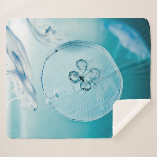 COUVERTURE SHERPA METROID EST QUE VOUS (Devant (Horizontal))