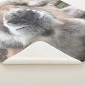 Couverture Sherpa Mignons Visage Kangaroo Kawaii Animal Australie (3/4)