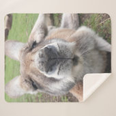 Couverture Sherpa Mignons Visage Kangaroo Kawaii Animal Australie (Devant (Horizontal))