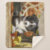 Couverture Sherpa Mini Chien-Chien-Chien-Chien-Chien-Chien Bi-Couleu (Devant)