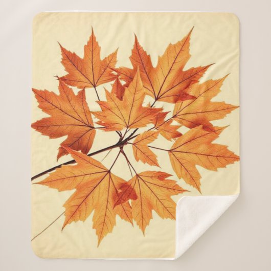 Couverture Sherpa Minimalist Maple Leaves Art – Botanical Print (Devant)