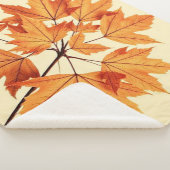 Couverture Sherpa Minimalist Maple Leaves Art – Botanical Print (3/4)