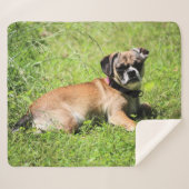 Couverture Sherpa Molly (Devant (Horizontal))