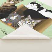 Couverture Sherpa Mon chat a des chats (3/4)