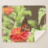 Couverture Sherpa Monarque d'octobre (Devant (Horizontal))