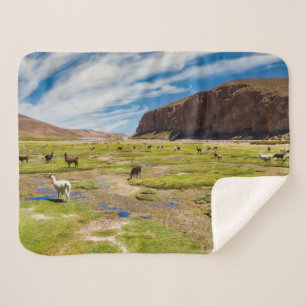 Couverture Sherpa Montagnes Andes boliviennes