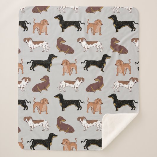 Couverture Sherpa Motif chien Dachshund (Devant)