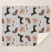 Couverture Sherpa Motif chien Dachshund (Devant (Horizontal))