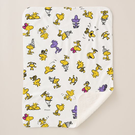 Couverture Sherpa Motif de loisirs Woodstock (Devant)