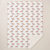 Couverture Sherpa Motif de vol Corgi (Devant)