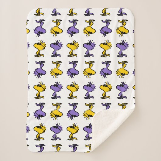 Couverture Sherpa Motif Lunettes de soleil Cool Woodstock (Devant)