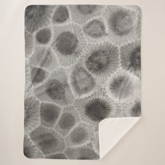 Couverture Sherpa Motif Petoskey Stone (Devant)