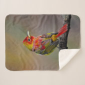 Couverture Sherpa Moulage de Tangère - Photo originale (Devant (Horizontal))