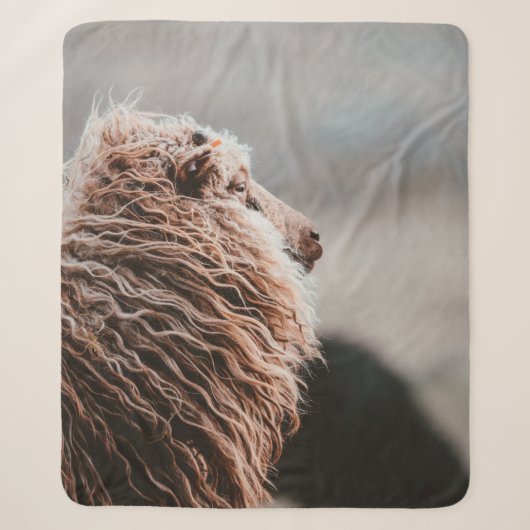 COUVERTURE SHERPA MOUTON (Devant)