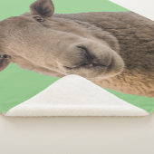 Couverture Sherpa Mouton (3/4)