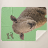 Couverture Sherpa Mouton (Devant (Horizontal))