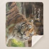 Couverture Sherpa Mystère -  (Devant)