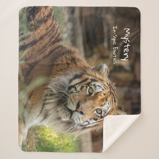 Couverture Sherpa Mystère -  (Devant)