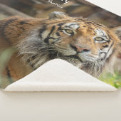 Couverture Sherpa Mystère -  (3/4)